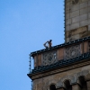 Fotograf auf Rathaus