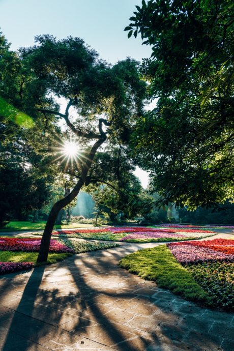 Stadtpark Fürth Blumenbeete