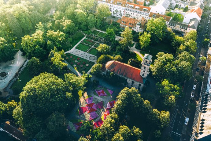 Stadtpark Fürth Rosengarten