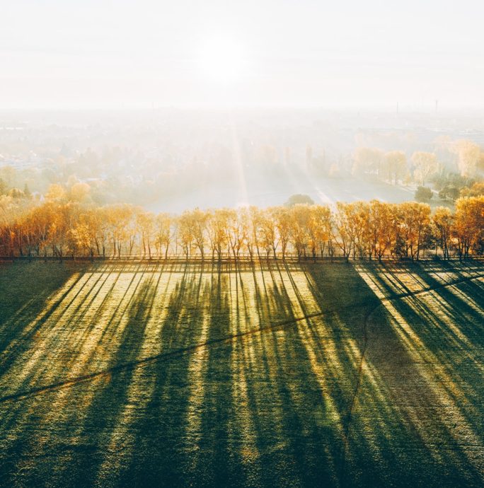 Pappelsteig Fürth im Herbst