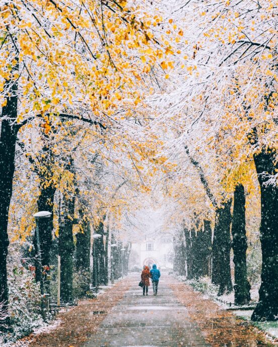 Herbst im Fürther Stadtpark mit Schnee